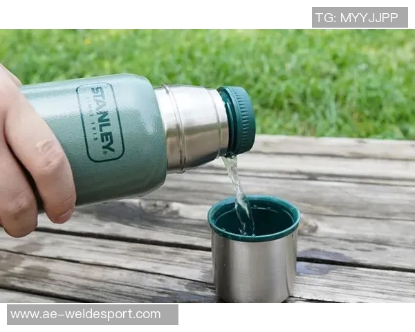 斯坦利与安东内拉携手推出限量版保温杯售价30至60美元引发热潮